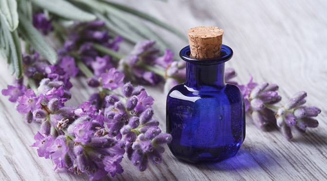 lavanta yağı- Foto: Shutterstock