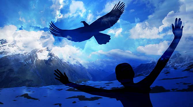 Kuş gibi uçabilmek artık mümkün!