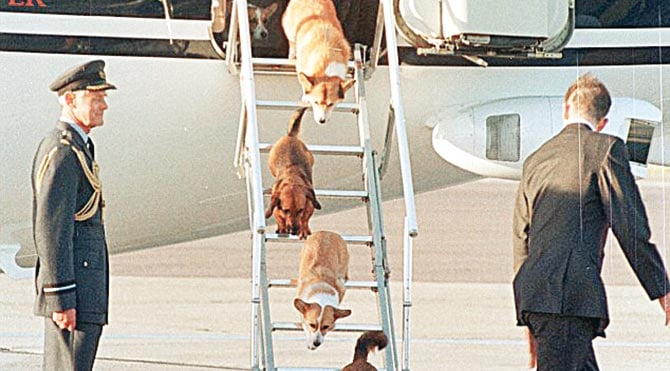 İNGİLTERE Kraliçesi 2. Elizabeth’in köpek tutkusu eskiden beri bilinir.