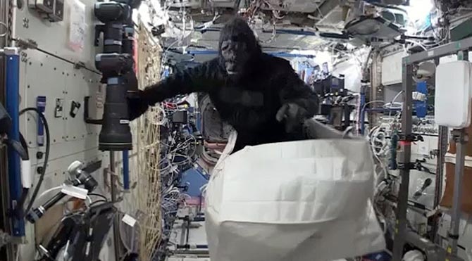 Astronotlardan uzayda goril şakası