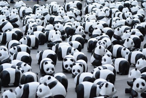 1600 Panda