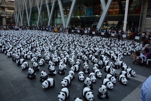 1600 Panda