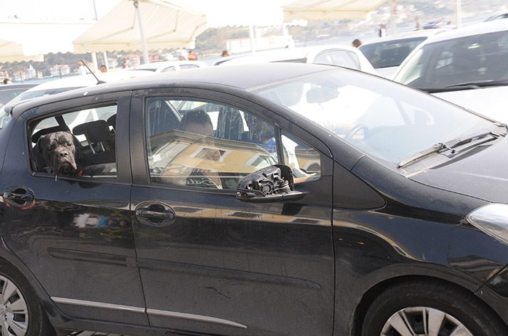 Foto: Tarkan ABDULLAHOĞLU