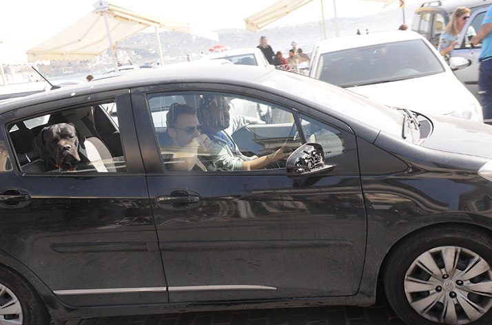 Foto: Tarkan ABDULLAHOĞLU