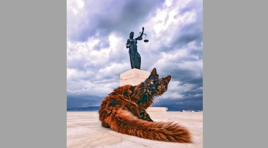 Yetişkin birincisi Ogün Balcı