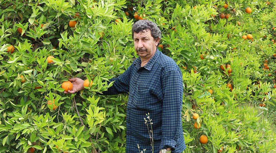 Dünyaca ünlü portakala şok