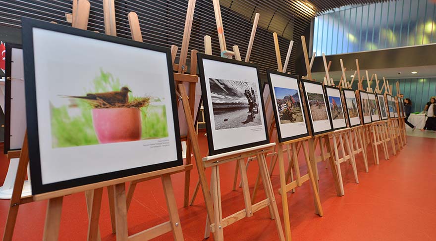 hayvan-haklari_ted-ronesans