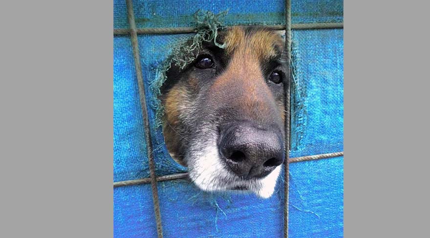 Lise kategorisi ikincisi- Ömer Öndeş