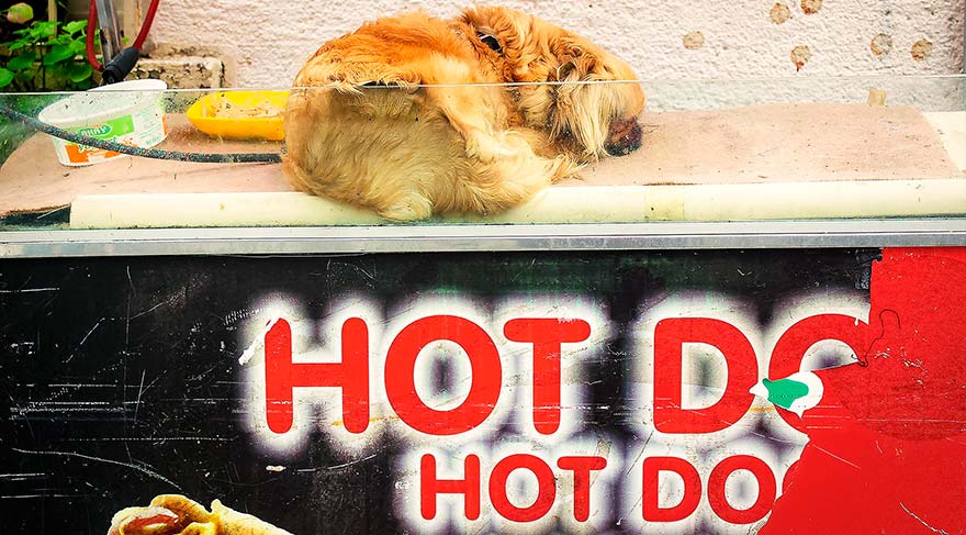 Ortaokul kategorisi ikincisi Ozan Yağmurdere