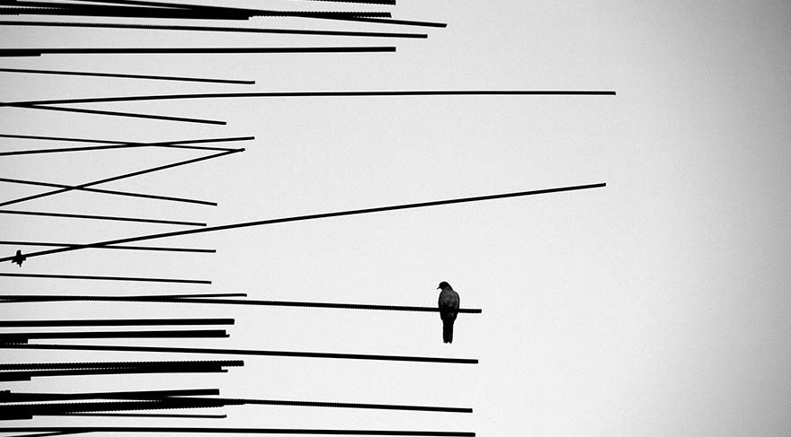 Yetişkin kategorisi üçüncüsü