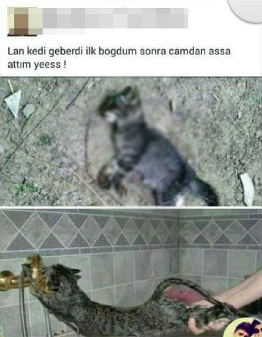 Bu paylaşımı yapan genç, daha sonra fotoğrafları başka sitelerden aldığını açıkladı