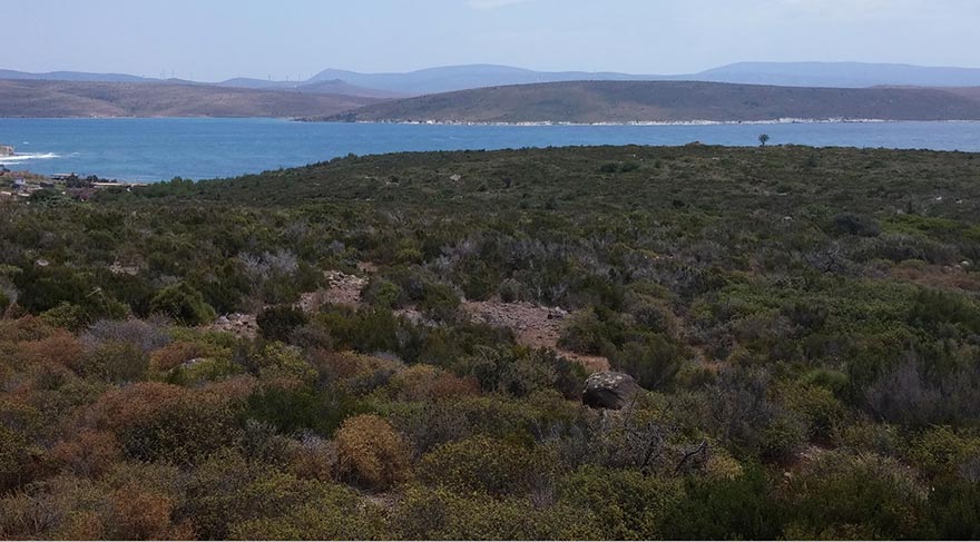 Adalı, 250 odalı oteli 63 milyon lira yatırımla bu araziye yapacak.