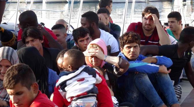 Ayvacık&#39;ta 51 mülteci yakalandı