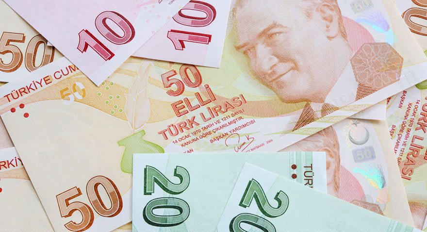 BES'e devlet katkısı E-Devlet'ten sorgulanacak