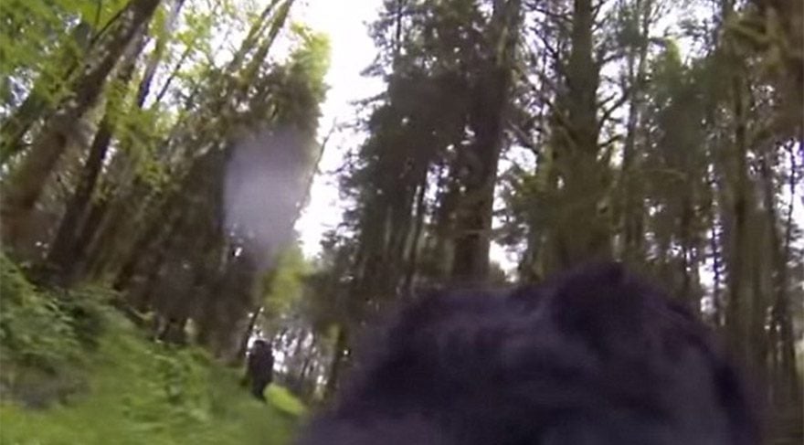 ABD'de çekildi! Yoksa kocaayak mı?