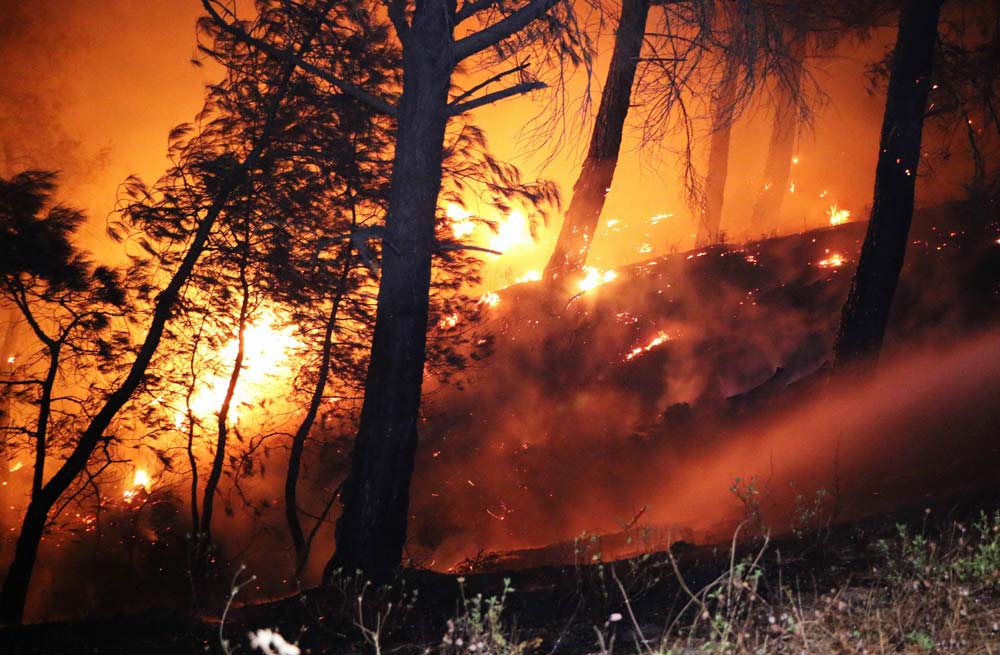 kaz-daglari-yangin-ic-2