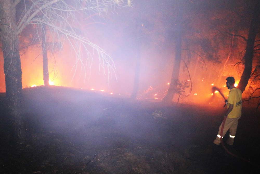 kaz-daglari-yangin-ic-3