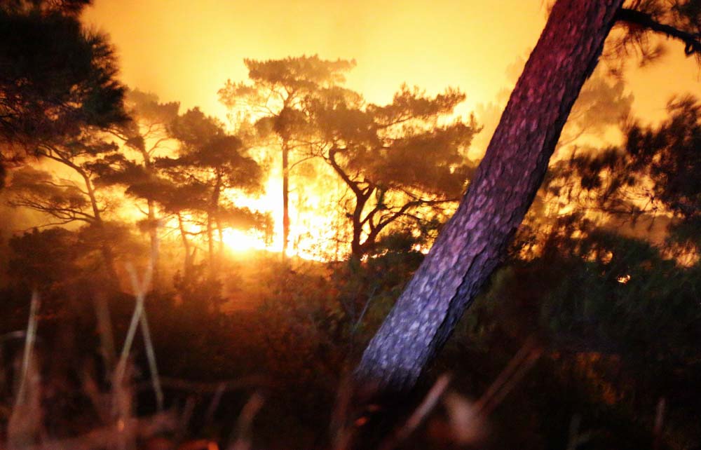 kaz-daglari-yangin-ic