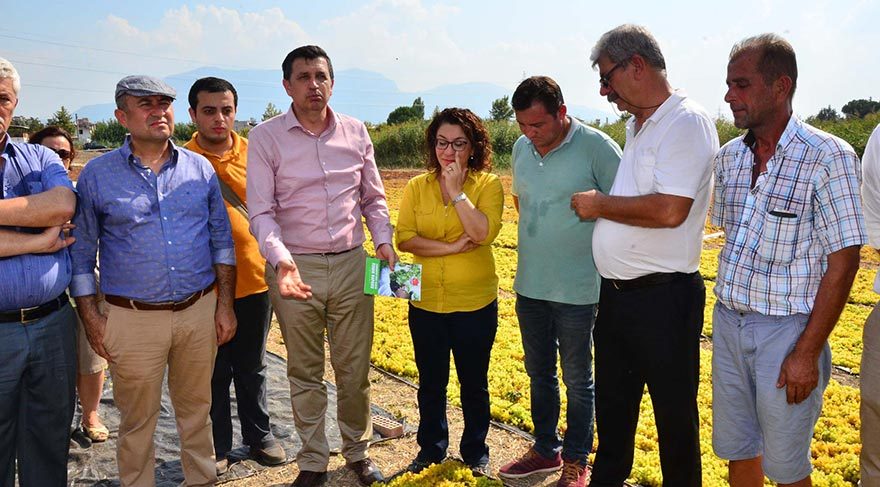 CHP’li Okan Gaytancıoğlu, tarım destekleme politikalarının yetersiz olduğunu dile getirdi. 