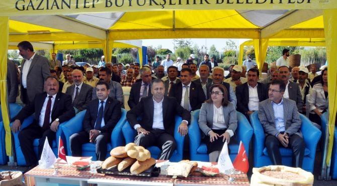 Gaziantep&#39;te belediyeden çiftçilere tohum desteği