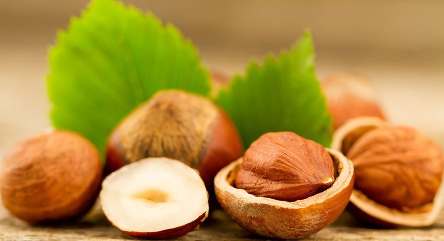 Bayraktar'dan fındık tepkisi