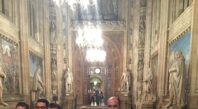 HDP Milletvekili Berdan Öztürk İngiltere Parlamentosu&#39;nda konuştu