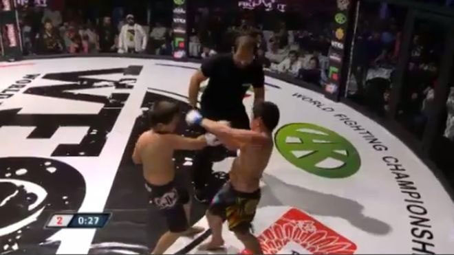 _91541491_chechfightboxinst