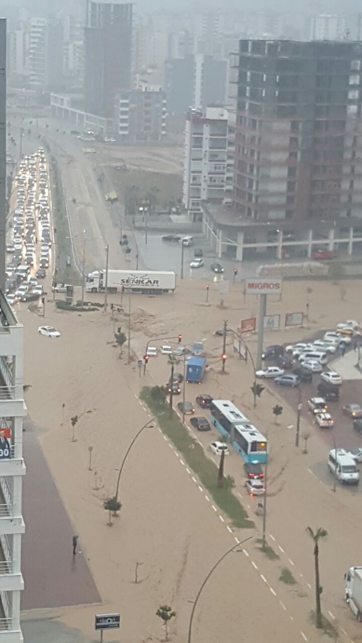 1a2a2ca4-56c6-4e6f-a176-cef227c46e28