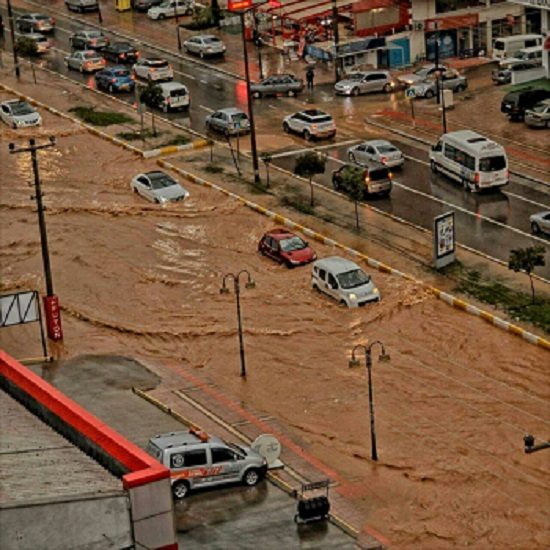 9ed2e34c-f2b8-4377-8857-3f33bc88e77f