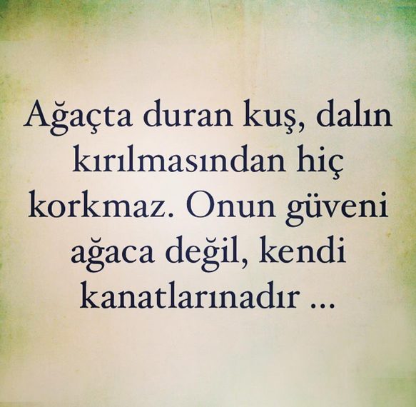 ebru-salli-ic