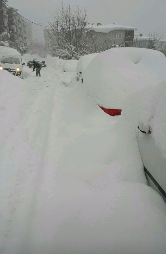 FOTOĞRAF: Gökçe KOCAMAN