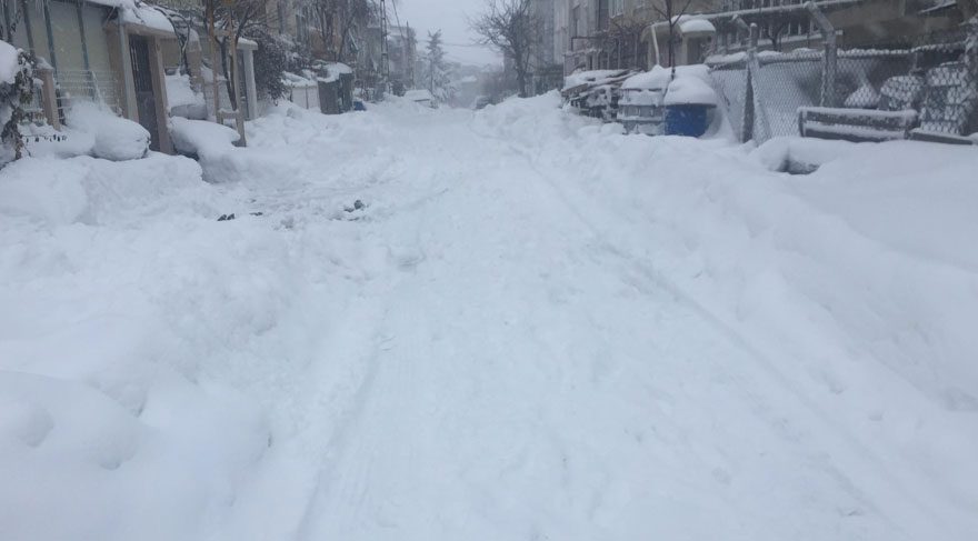 FOTOĞRAF: Türkan GÜNEŞ