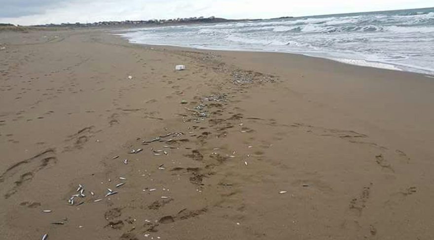 FOTO-DHA 1987 yılında da aynı olay görülmüş