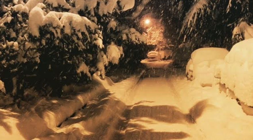 FOTOĞRAF: Canan TAŞKIN