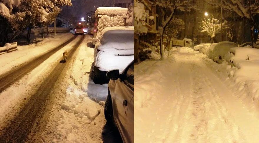 FOTOĞRAF: Sami TANRISEVER