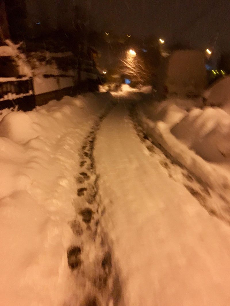 FOTOĞRAF: Ali Gökner ŞİMŞEK