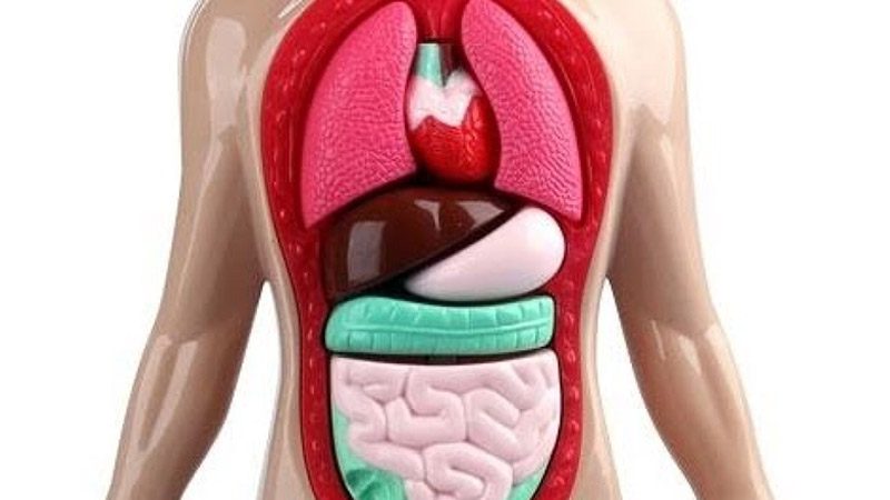 bunlari-biliyor-musunuz-bilgi-ilginc-bilgiler-1545220