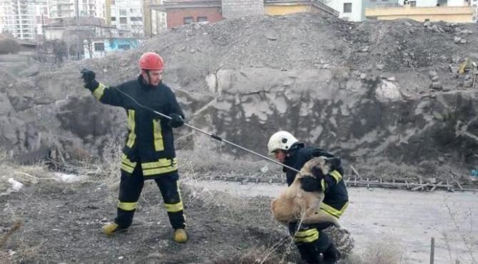 İnşaat demirleri arasına sıkışan köpek kurtarıldı