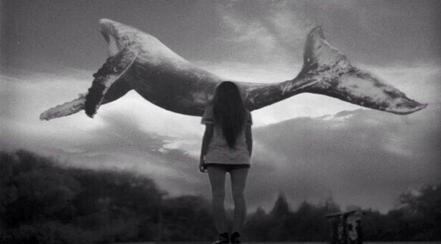 MAVİ BALİNA SÖZCÜ ile ilgili görsel sonucu