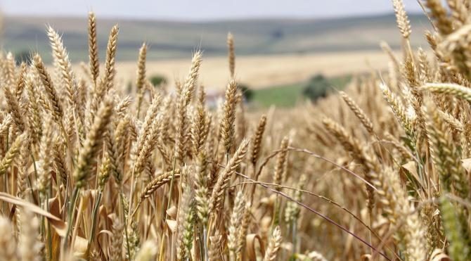 TUSAF Başkanı Ulusoy: Tarım sektöründe bir devrim
