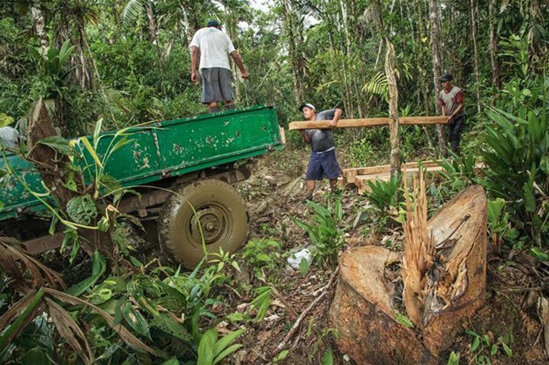 amazon-da-o-kabileyle-ilk-temas-brezilya-mato-grosso-kawahiva-kabilesi-1557964