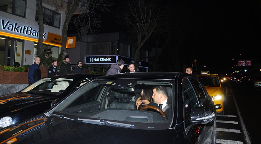 ceren-ic-2
