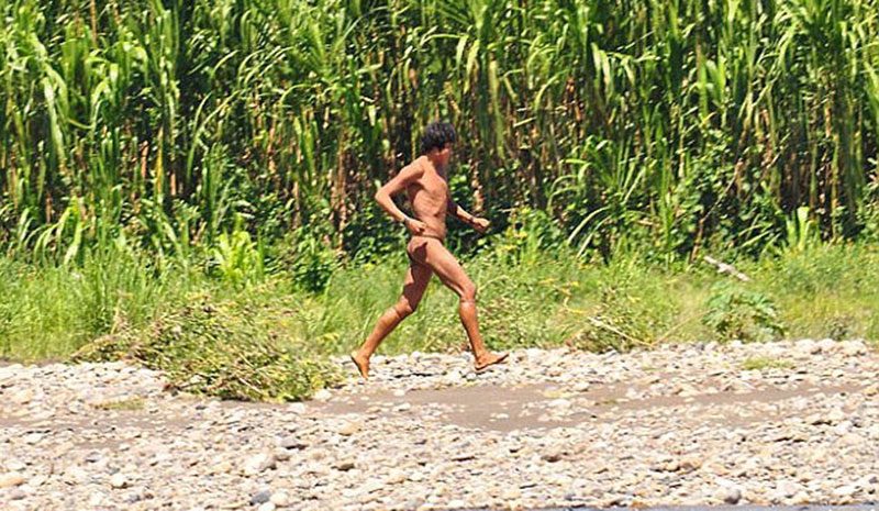 iste-o-kabilenin-basina-gelenler-brezilya-mato-grosso-kawahiva-kabilesi-1508447