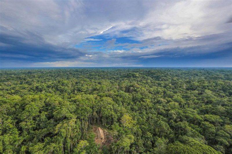 modern-insandan-uzak-amazon-kabileleri-brezilya-mato-grosso-kawahiva-kabilesi-1610616