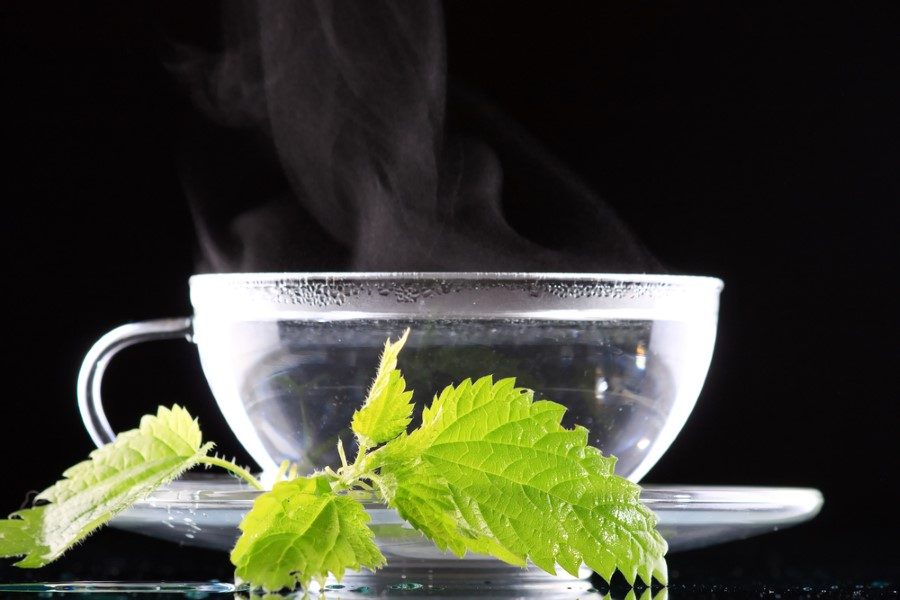 shutterstock_61446001-custom