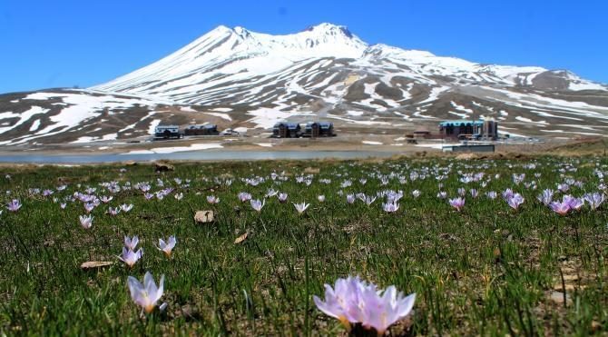 Erciyes Dağı&#39;na bahar geldi