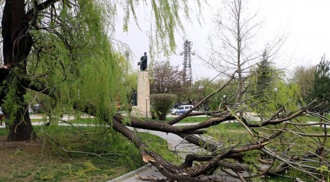 Erzincan&#39;da şiddeti rüzgarda çatılar uçtu, ağaçlar devrildi