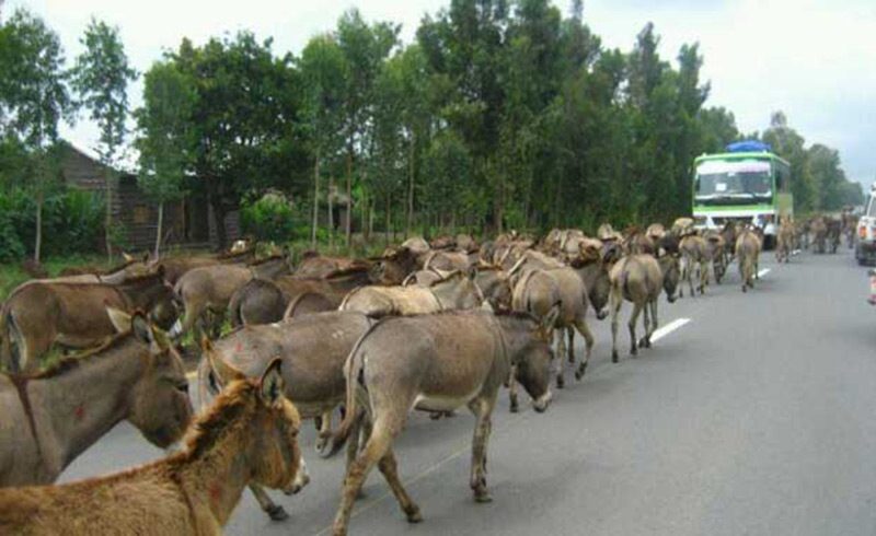 bilmedigimiz-kelimeler-4