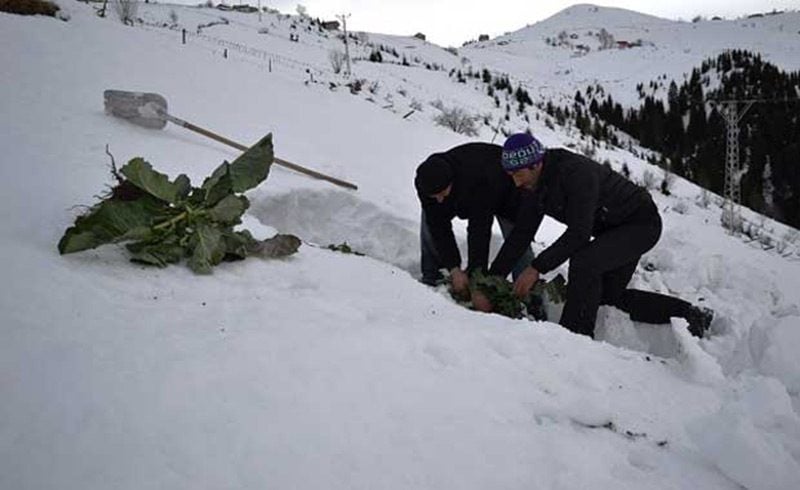 bilmedigimiz-kelimeler-5