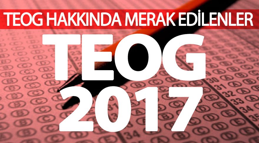 teog soru ve cevaplari eba kontrol sistemi